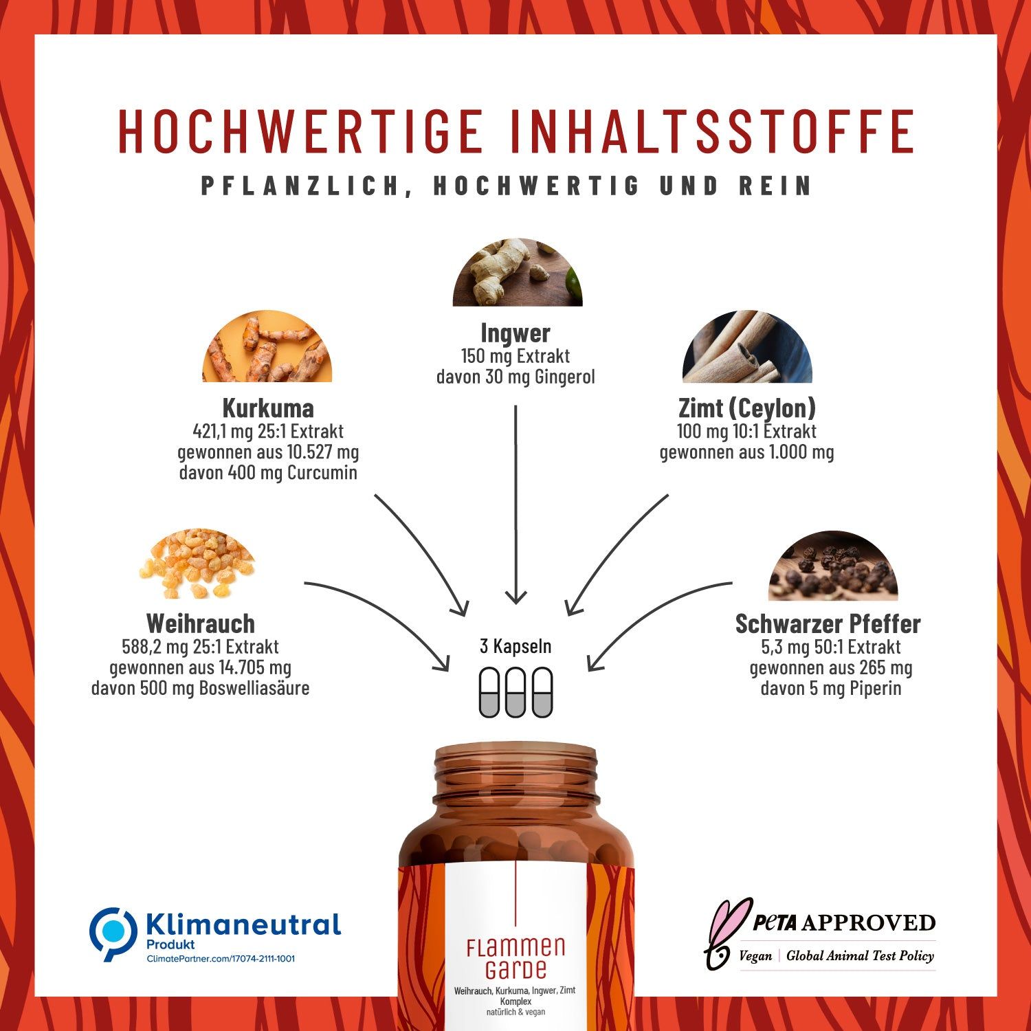 Kurkuma Weihrauch Komplex mit Ingwer und Zimt - Vegan & Hochdosiert - Flammengarde - NATURTREU®