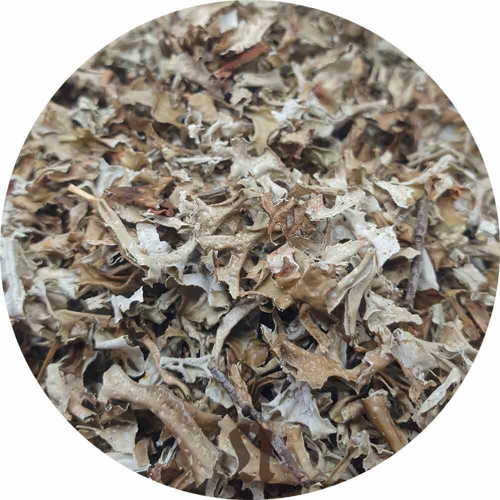 Nahaufnahme von getrocknetem Island Moos in einem kreisförmigen Ausschnitt. Die Textur ist rau und unregelmäßig.