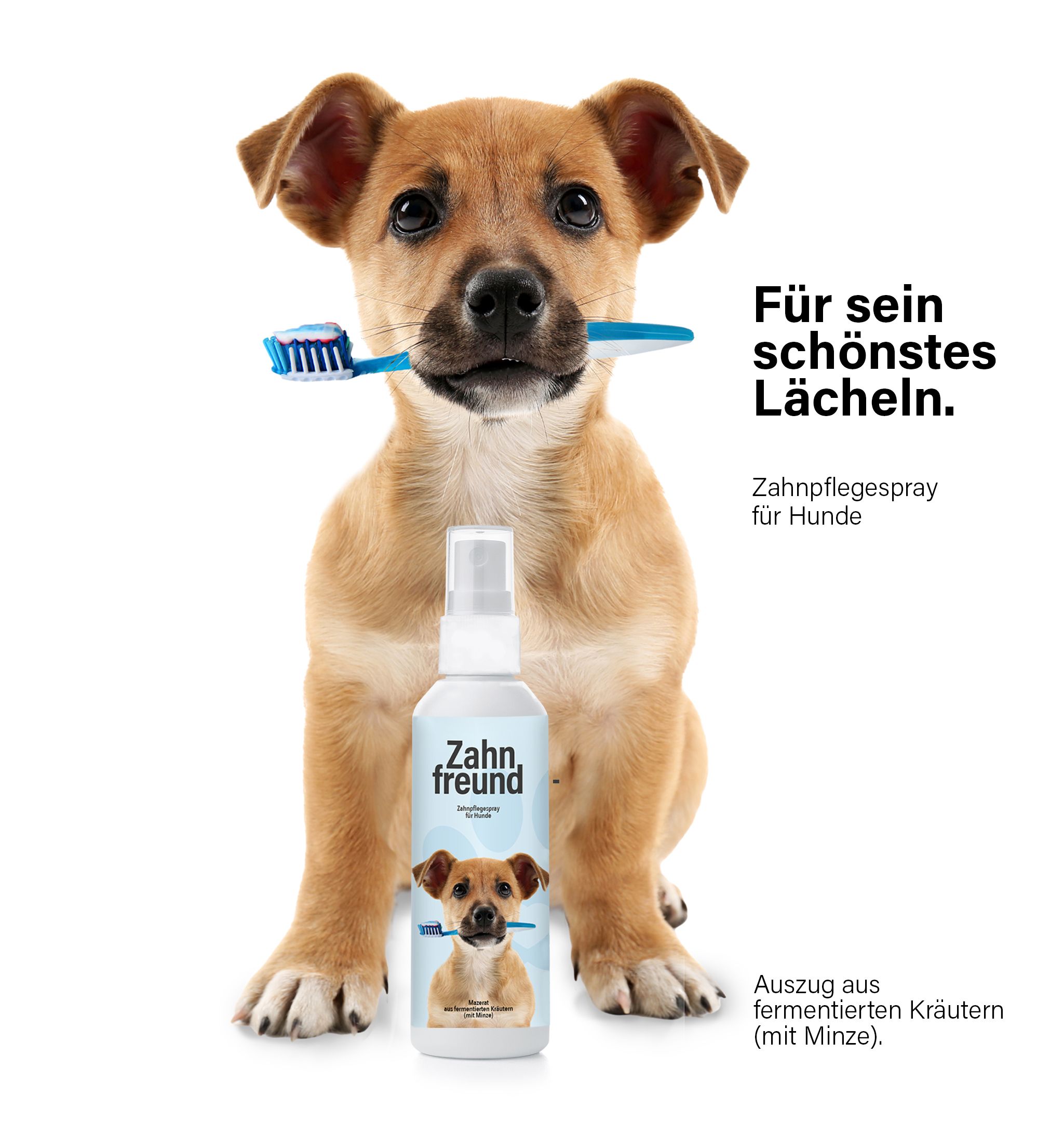 Cellavita- Zahnspray für Hunde 100 ml Spray