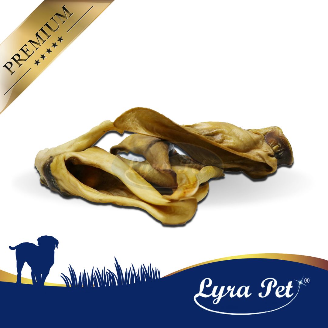 Lyra Pet® Pferdeohren