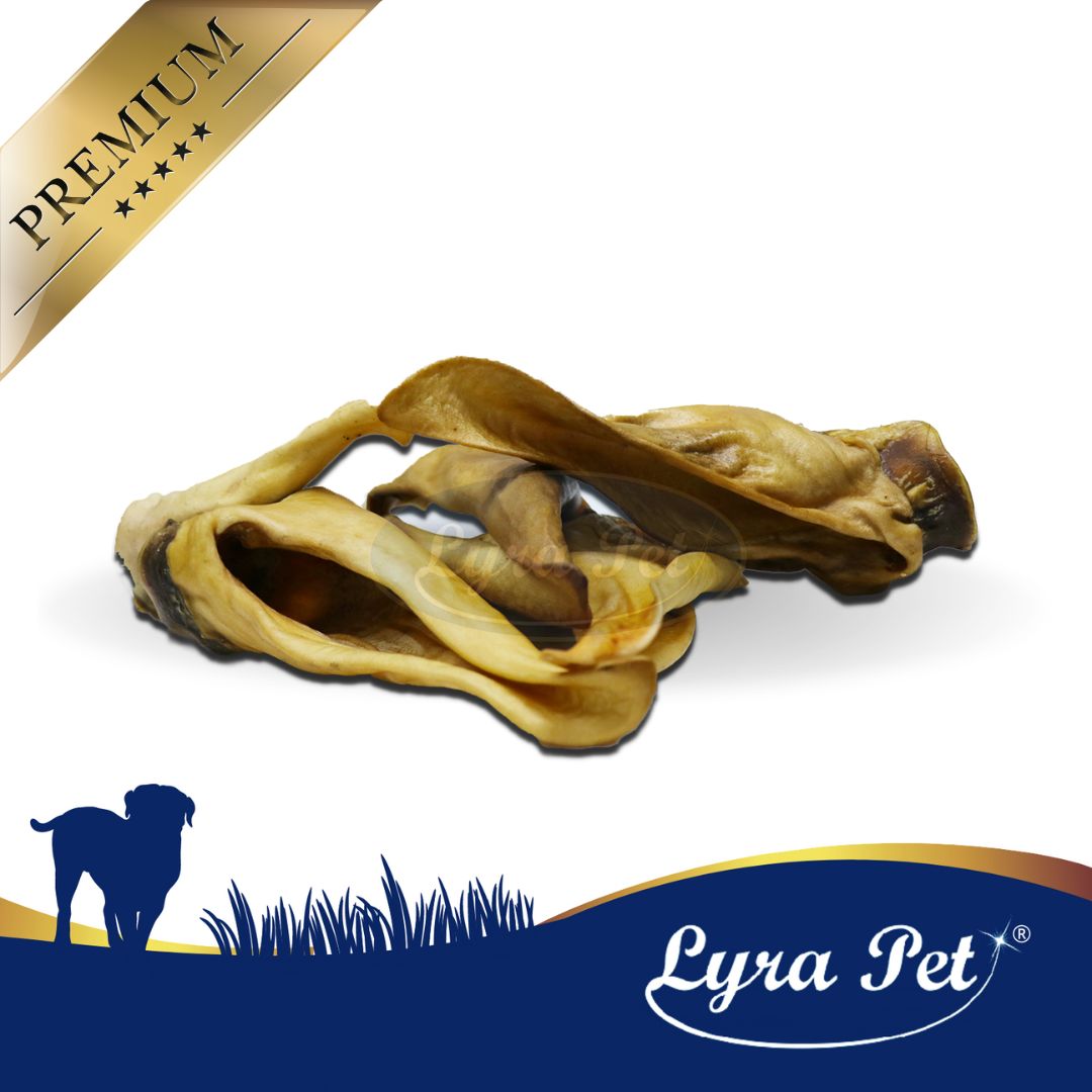 Pferdeohren. Lyra Pet Logo. Premium-Label. Hundesilhouette und Gras.