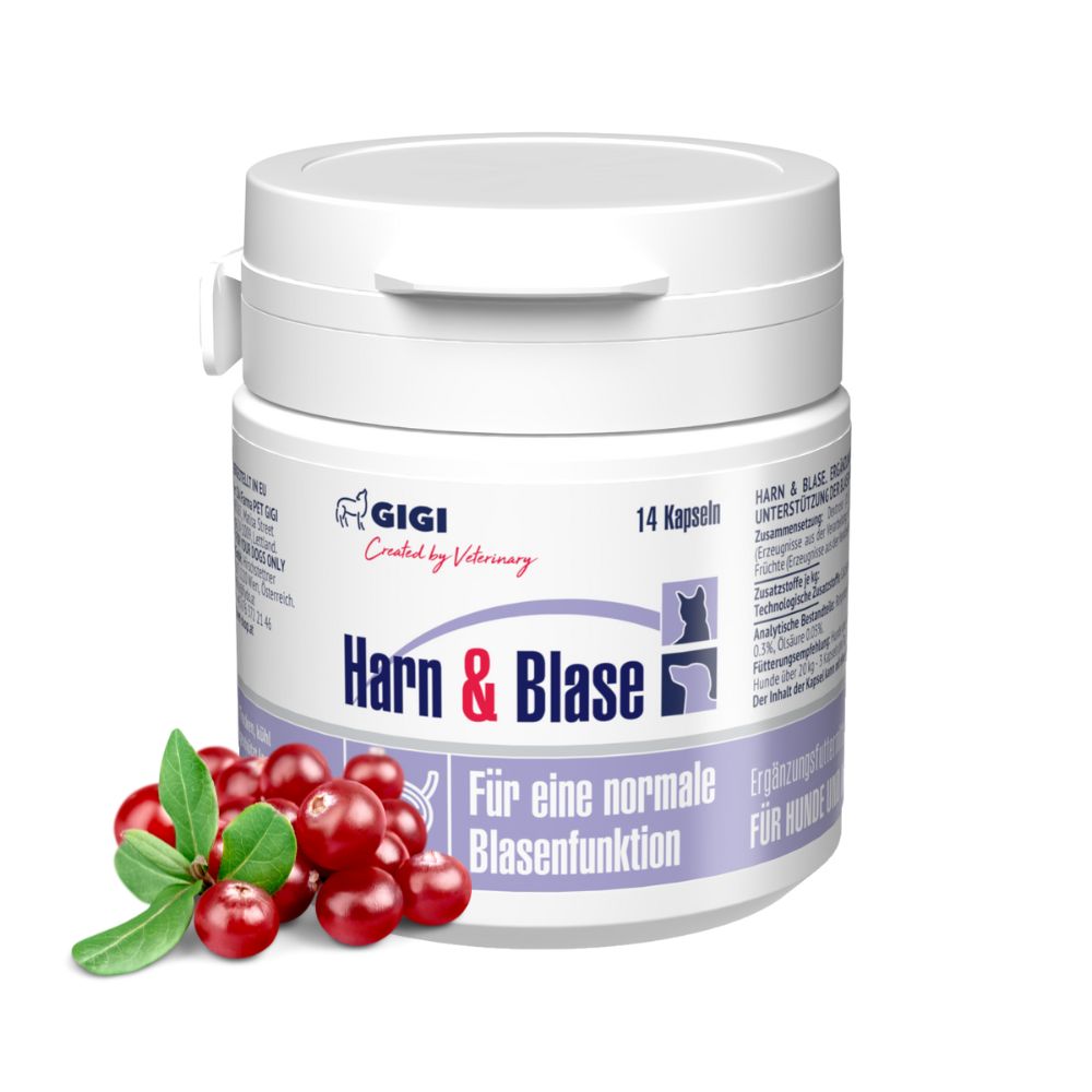 Weiße Dose mit "Harn & Blase"-Aufschrift. 14 Kapseln. Cranberry-Früchte und Blätter daneben.