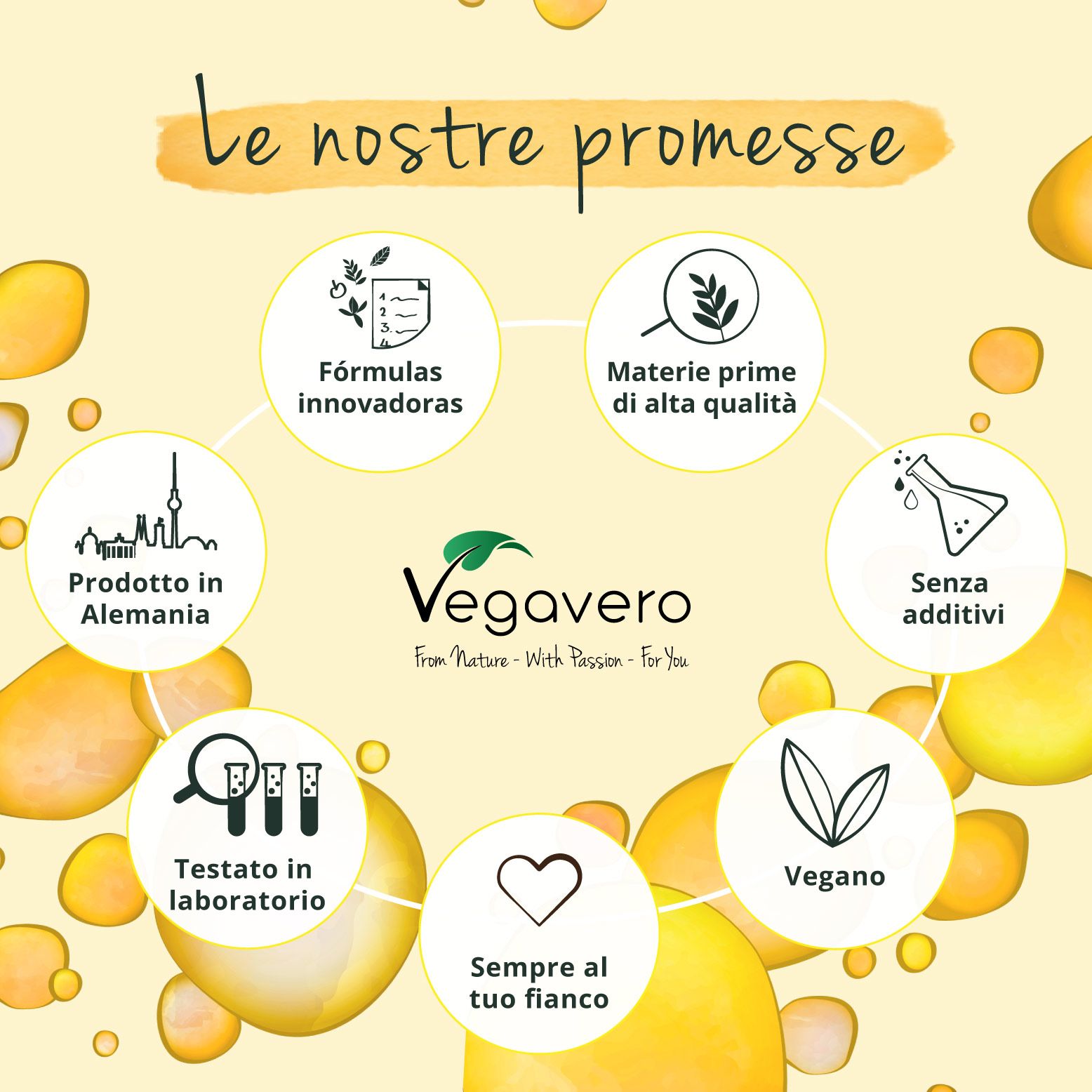 Rappresentazione circolare: Promesse Vegavaro. Loghi e icone per qualità, ingredienti, produzione.