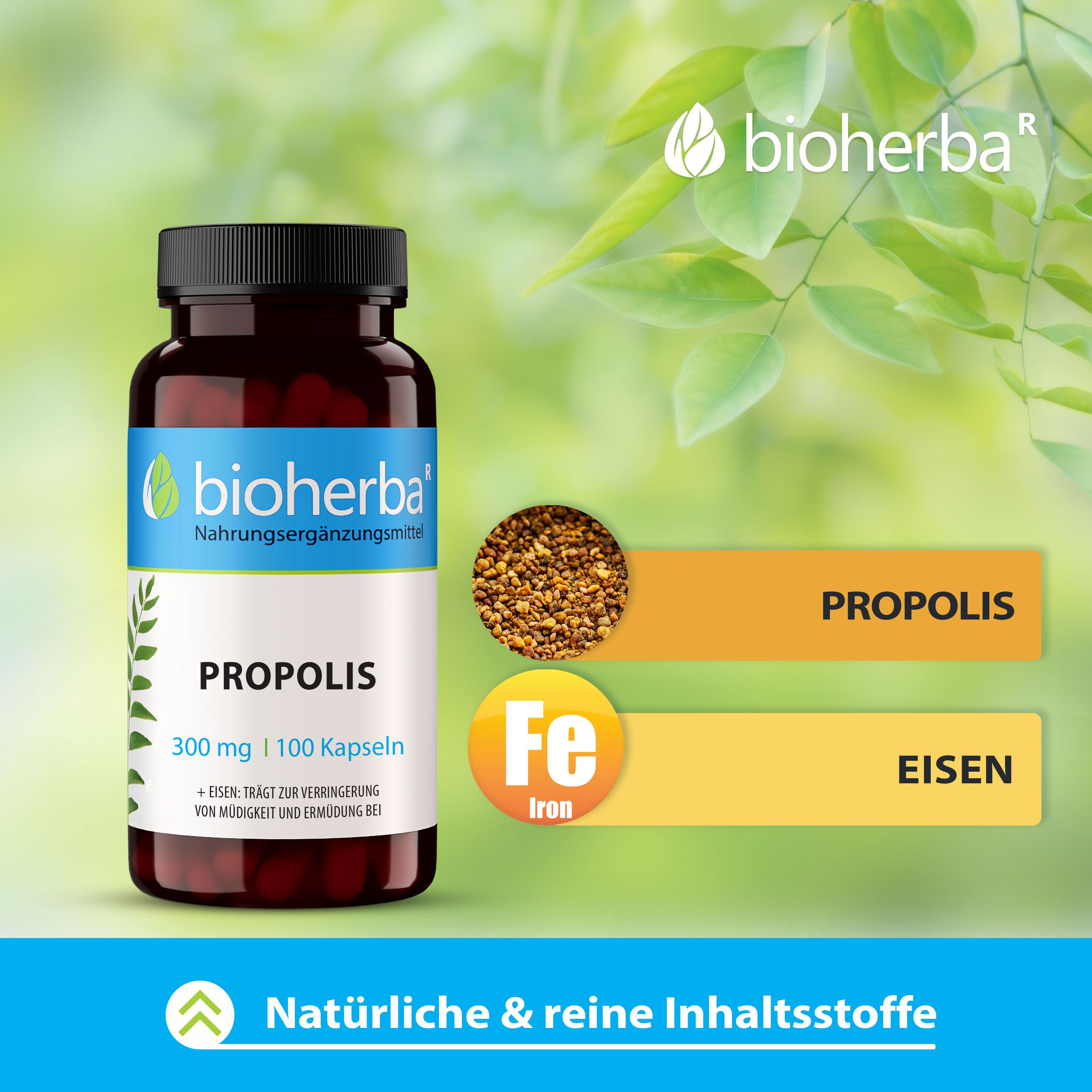 Bioherba Propolis Kapseln