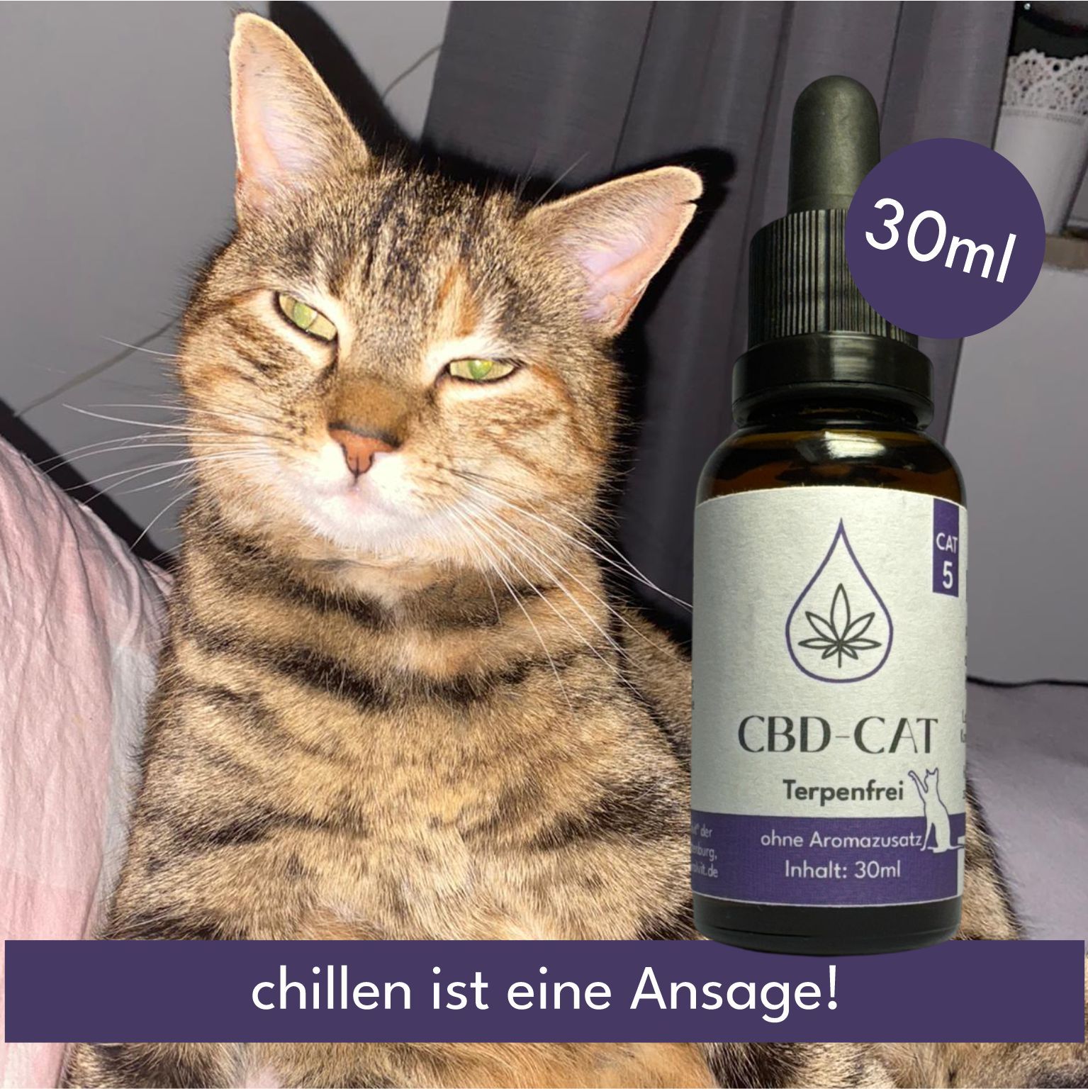 Katze neben einer 30ml CBD Öl Flasche für Katzen. Terpenfrei.