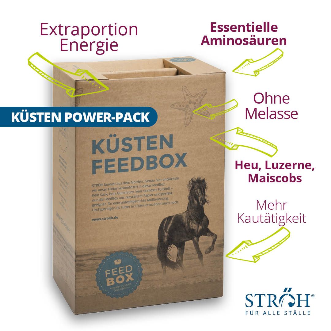 Kartonbox „KÜSTEN POWER-PACK FEEDBOX“ mit Illustration eines Pferdes. Text-Hinweise auf Inhaltsstoffe.