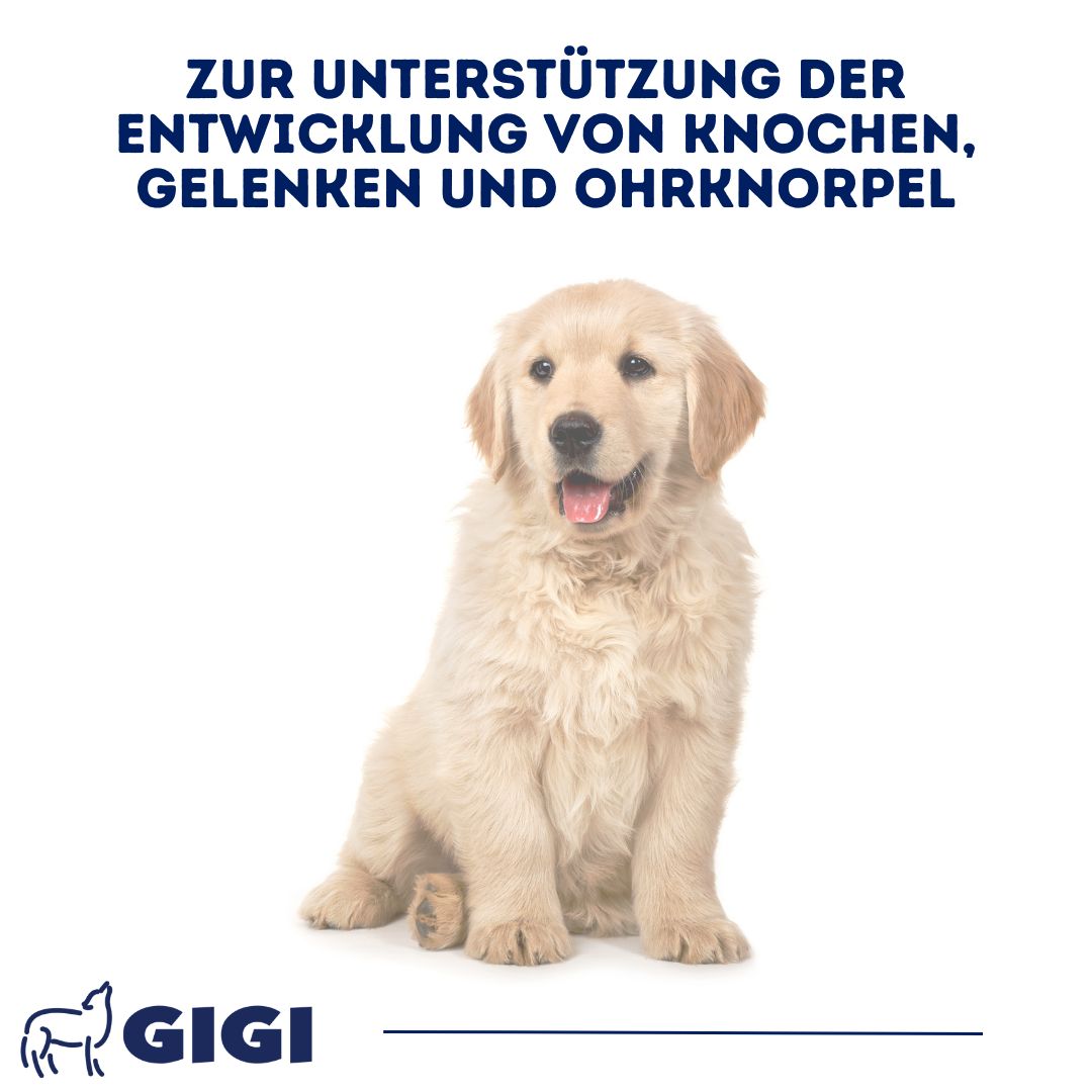 GIGI VET Welpen Wachstum & Entwicklung