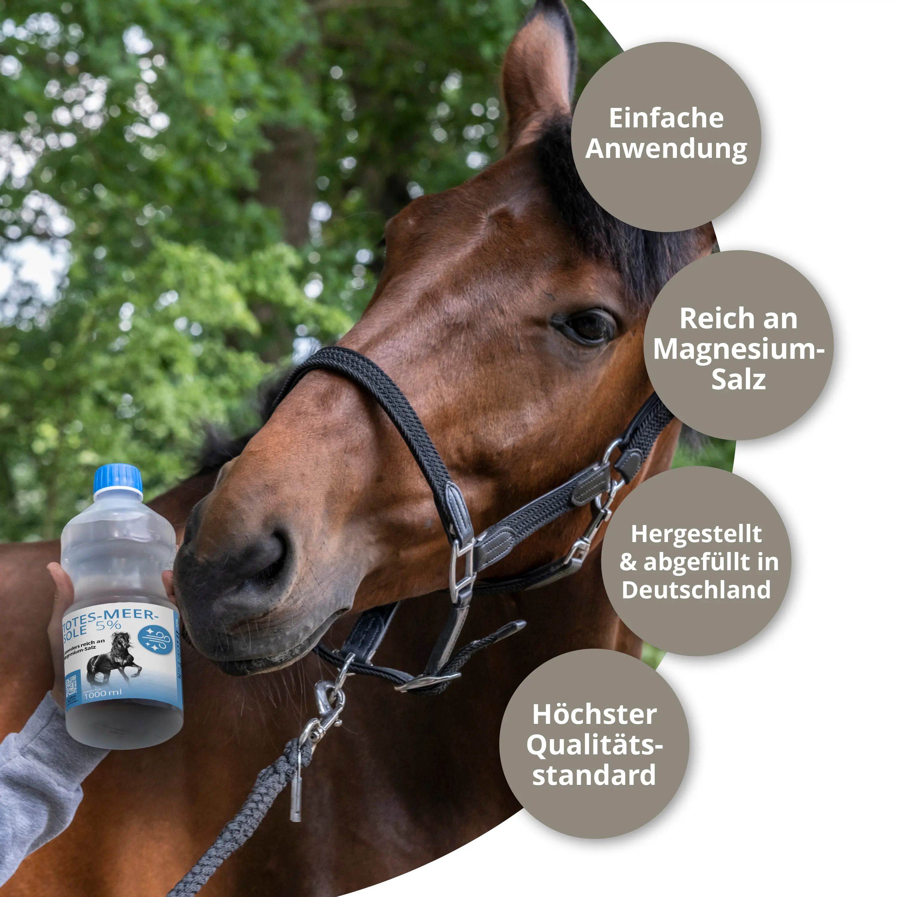 Pferd mit Flasche STRÖH Totes-Meer-Sole 5%. Text: Einfache Anwendung, reich an Magnesiumsalz, hergestellt in Deutschland, höchster Qualitätsstandard.