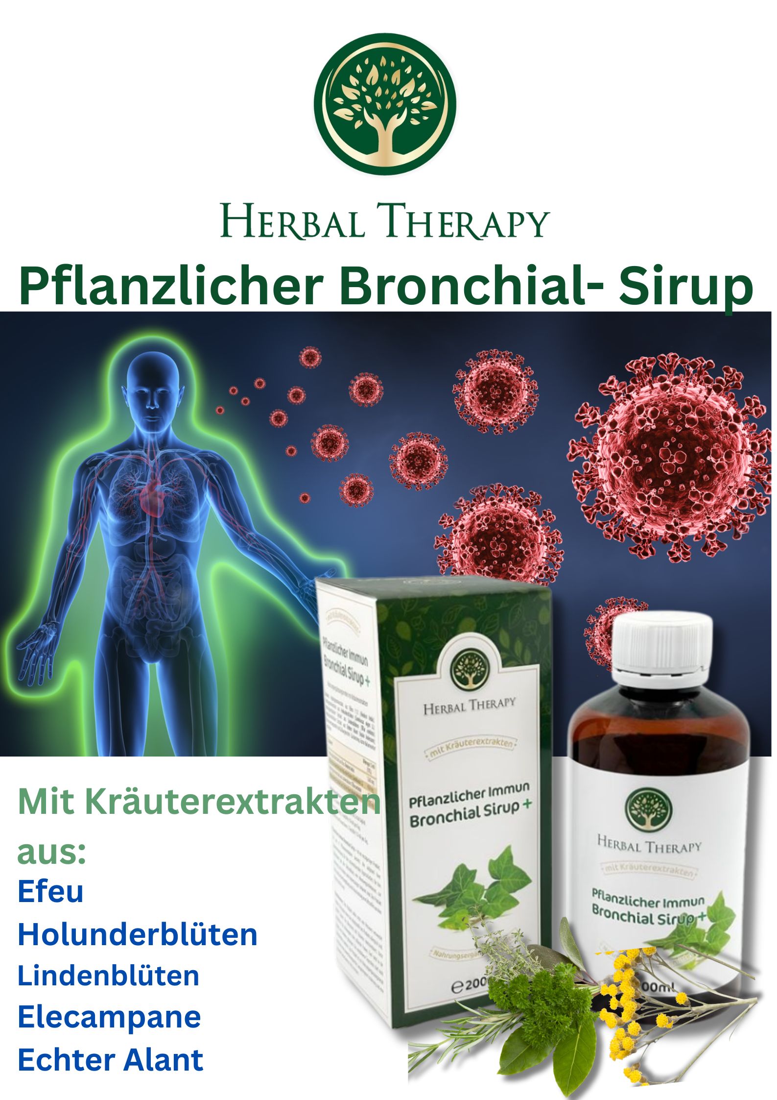 Werbeplakat mit Herbal Therapy. Pflanzlicher Bronchial- Sirup. Flasche und Verpackung. Mit Kräuterextrakten. Blauer Hintergrund.