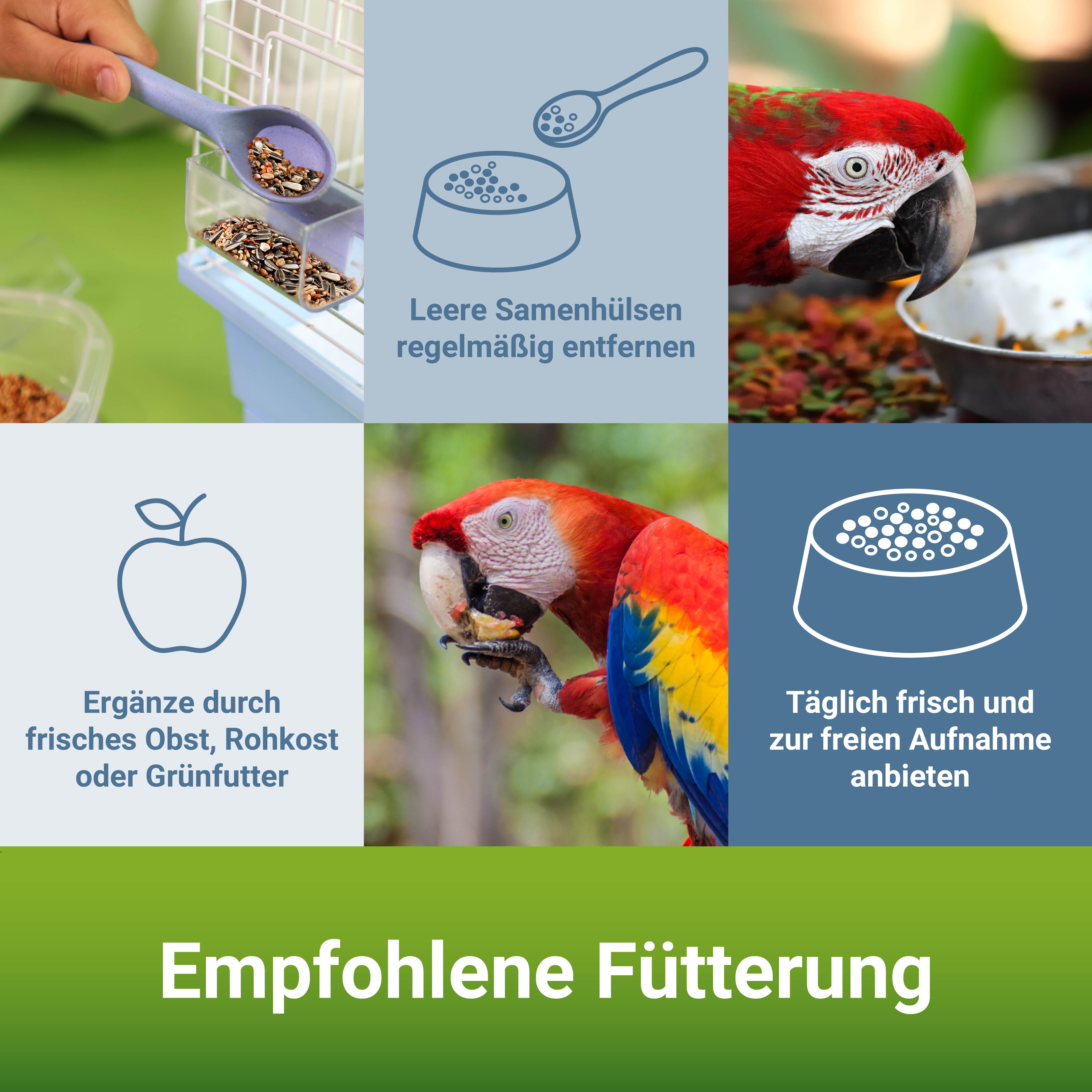 PANTO® Papageienfutter Spezial mit Pluramin®