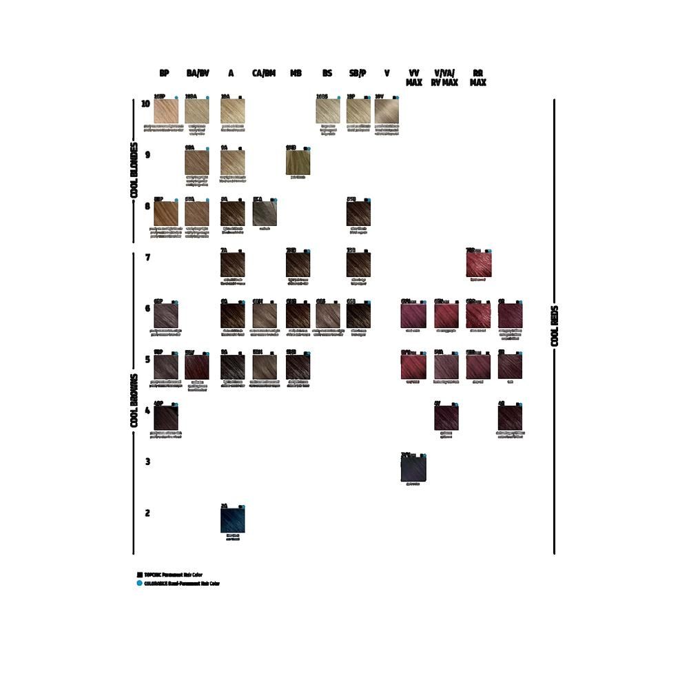 Farbkarte mit Haarfarben. Verschiedene Farbtöne in Reihen und Spalten angeordnet. Beschriftungen in Schwarz und Blau.