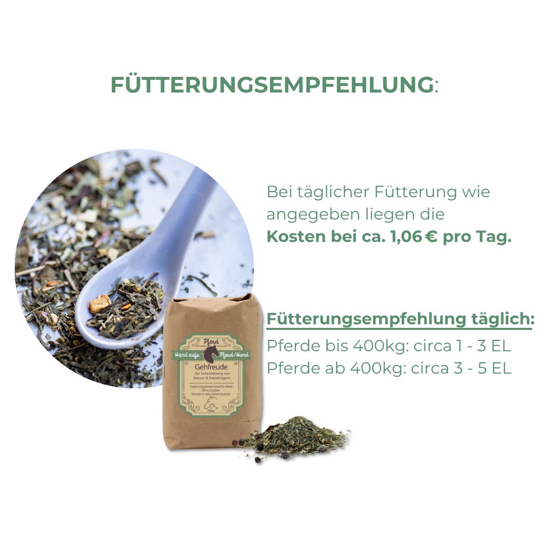 Braune Papiertüte mit Produktetikett und Kräutermischung in einer weißen Schale. Löffel mit Kräutern. Text: Fütterungsempfehlung.
