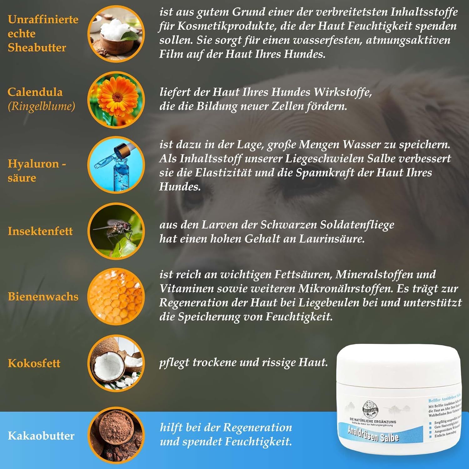 Bellfor Analdrüsen Salbe für Hunde