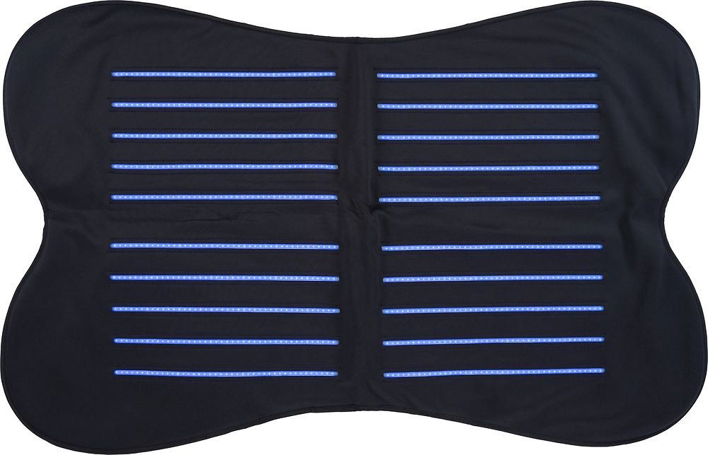Schwarzes Pad mit blauen LED-Lichtern. Knochenförmig. Reihen von LED-Lichtern sind sichtbar.