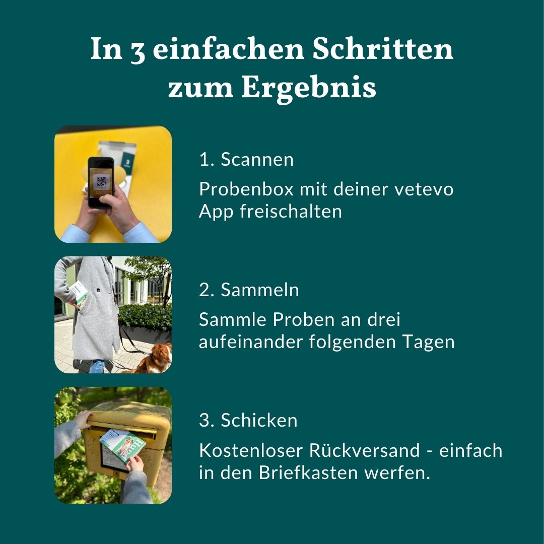 Drei Schritte zum Ergebnis: Scannen der Probe, Sammeln über drei Tage, kostenloser Versand.