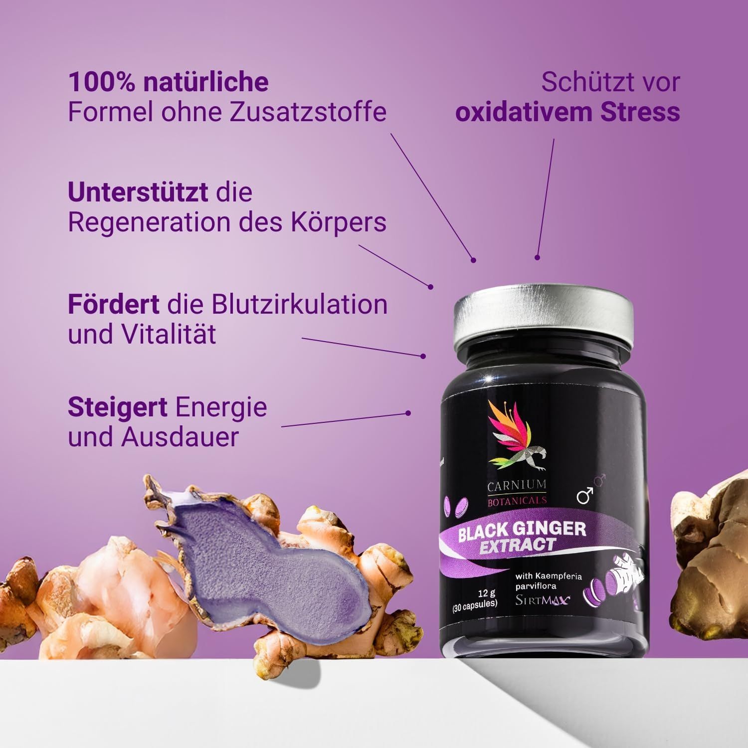 Produktflasche mit Aufschrift: Black Ginger Extract. Text: 100% natürliche Formel. Unterstützt die Regeneration des Körpers. Schützt vor oxidativem Stress.