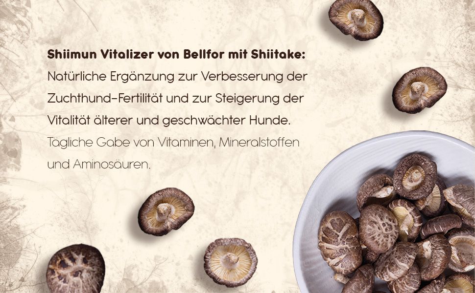 Bellfor Nahrungsergänzung für Hunde mit Shiitake - Shiimun Vitalizer Pulver
