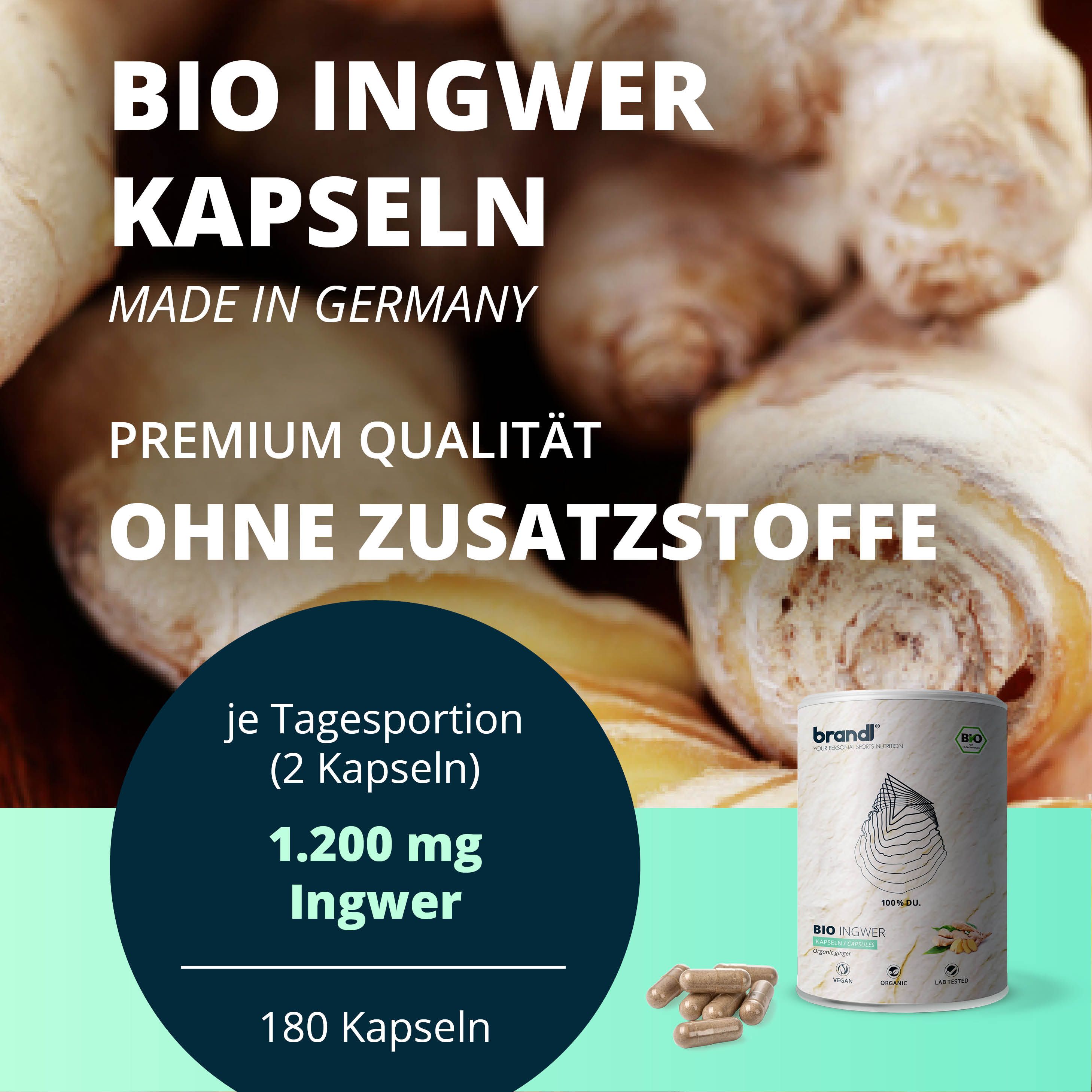 brandl® Bio Ingwer (Ginger) 360 St Kapseln