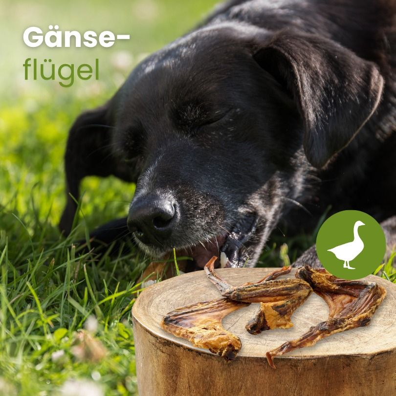 Ostsee Sprotte: proteinreich, 100% Sprotte, intensiver Geschmack, auch für Katzen.