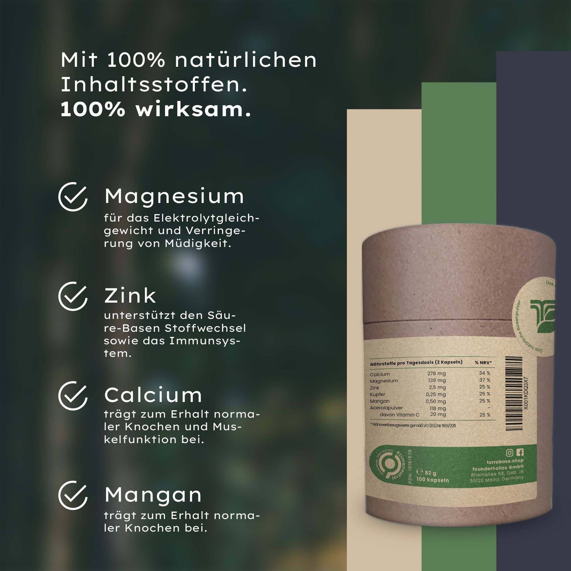 TerraBase® natürliche Basenpulver Kapseln