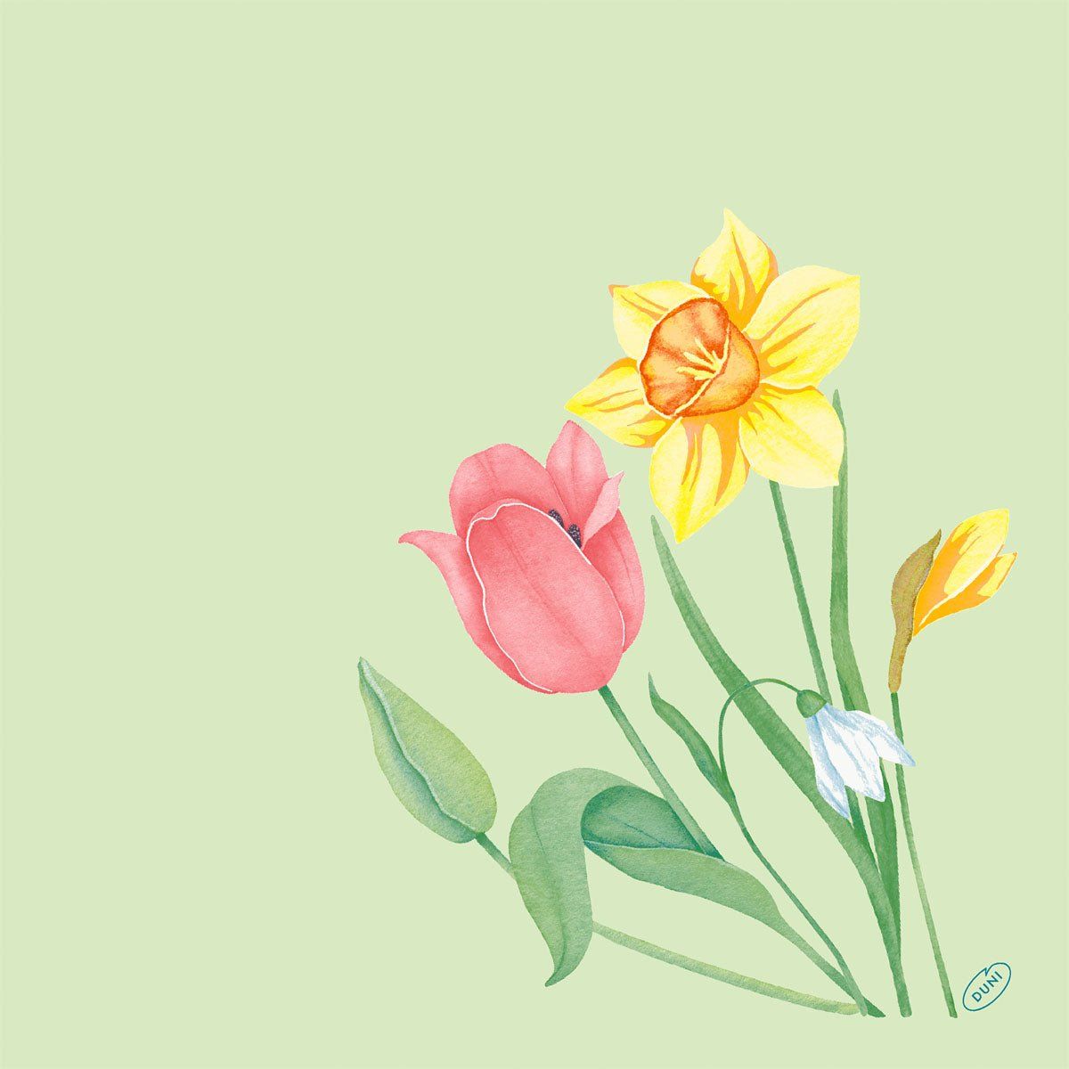 Bio-Dunisoft-Serv.40x40cm Spring Melody 60P. 2160 St Tücher