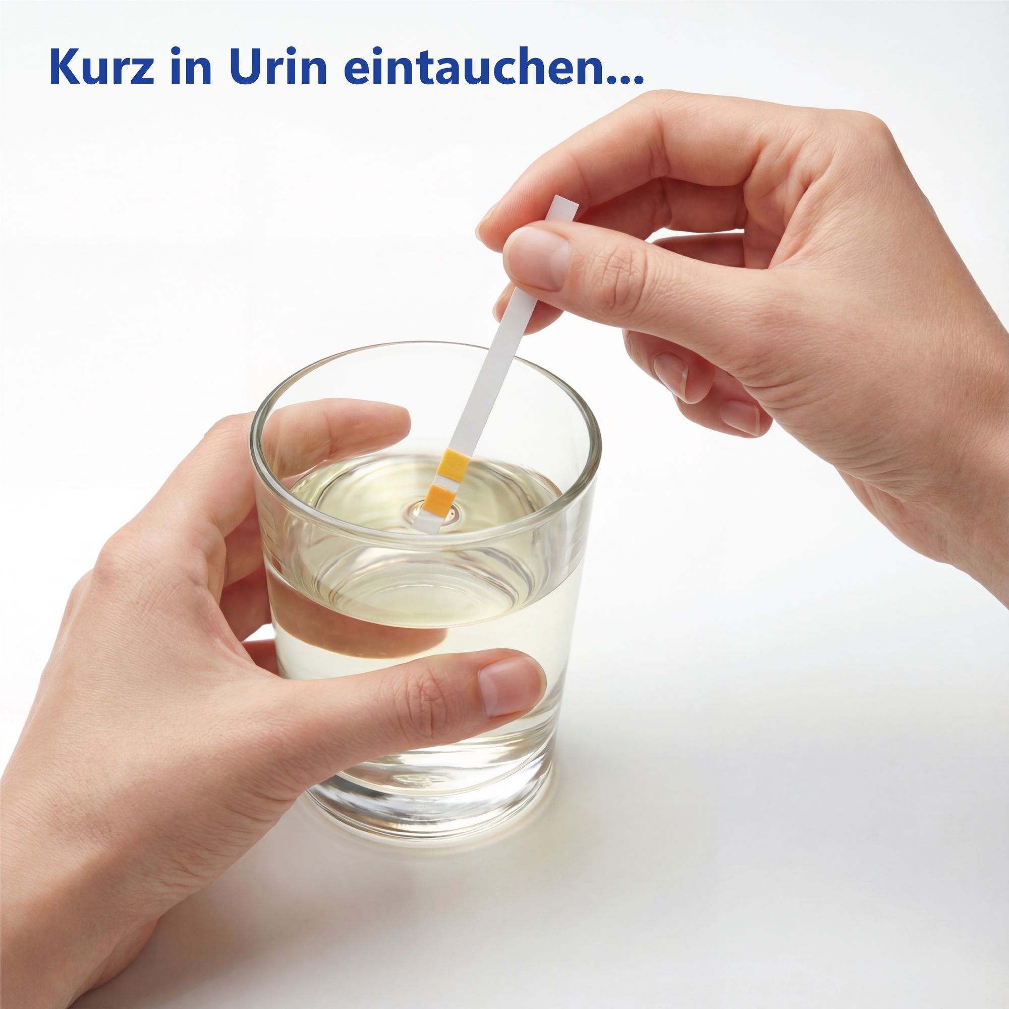 Hände halten pH-Teststreifen in Glas mit Flüssigkeit. Streifen mit gelben und orangen Feldern.