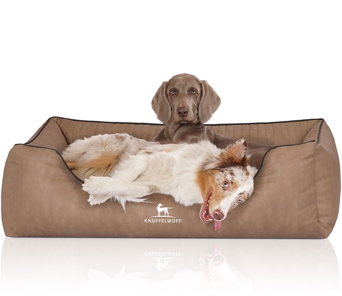 Hundebett mit zwei Hunden. Braun, gepolstert, Logo unten. Ein Hund liegt, einer sitzt. Rechteckige Form mit erhöhten Seiten.