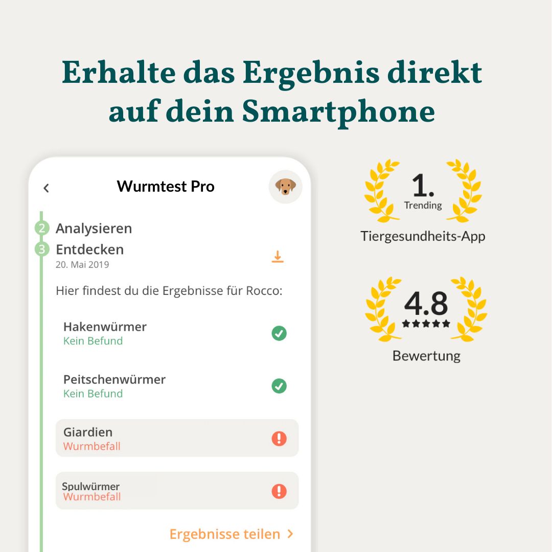 Screenshot einer App, die Wurmtest-Ergebnisse für Hunde anzeigt. Auszeichnungen für Tiergesundheit und Bewertung sind sichtbar.