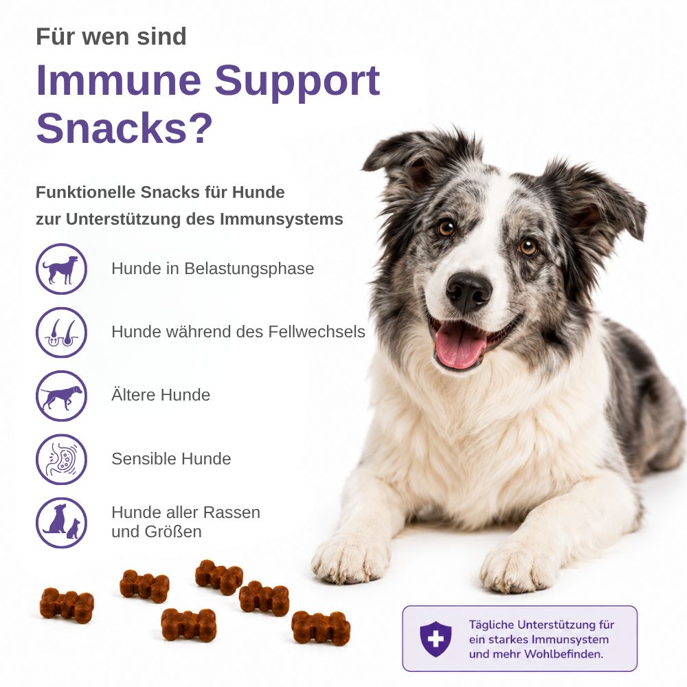 Hund liegt neben Text über Immune Support Snacks und Symbolen für Hundegruppen.