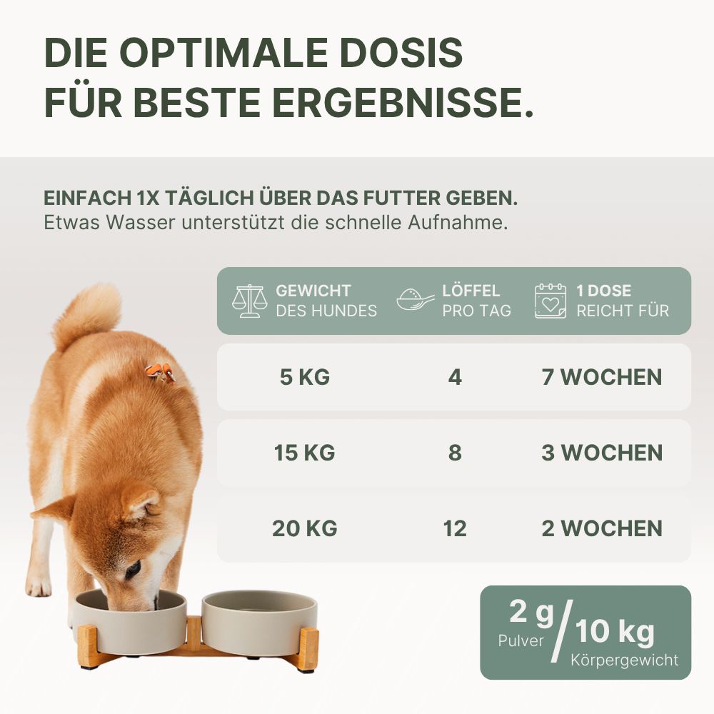 Hund isst aus Futternapf. Text: 5 KG - 4 Löffel, 15 KG - 8 Löffel, 20 KG - 12 Löffel. 2g/10kg Körpergewicht.