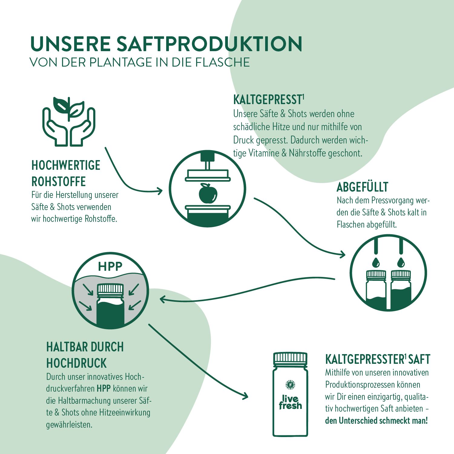 Grafik zeigt den Herstellungsprozess von Säften und Shots. Von hochwertigen Rohstoffen über Kaltpressung bis zur Abfüllung und HPP-Verfahren.