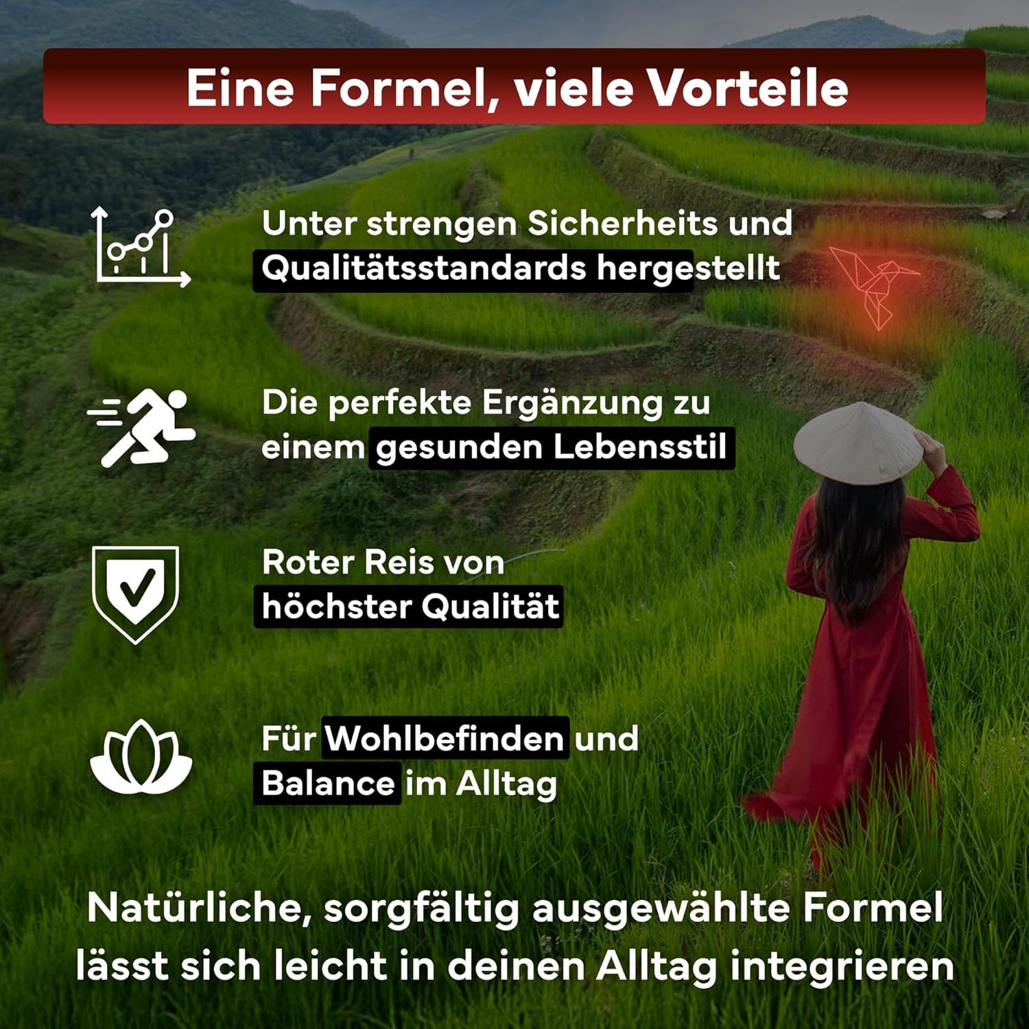 SEVENS NUTRITION Roter Reis Tabletten