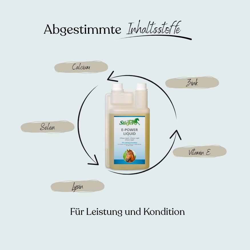 Flüssigkeit in einer Doppelkammerflasche. Aufschrift: Stiefel E-Power Liquid. Mit Inhaltsstoffen wie Calcium, Zink, Selen, Lysin und Vitamin E.