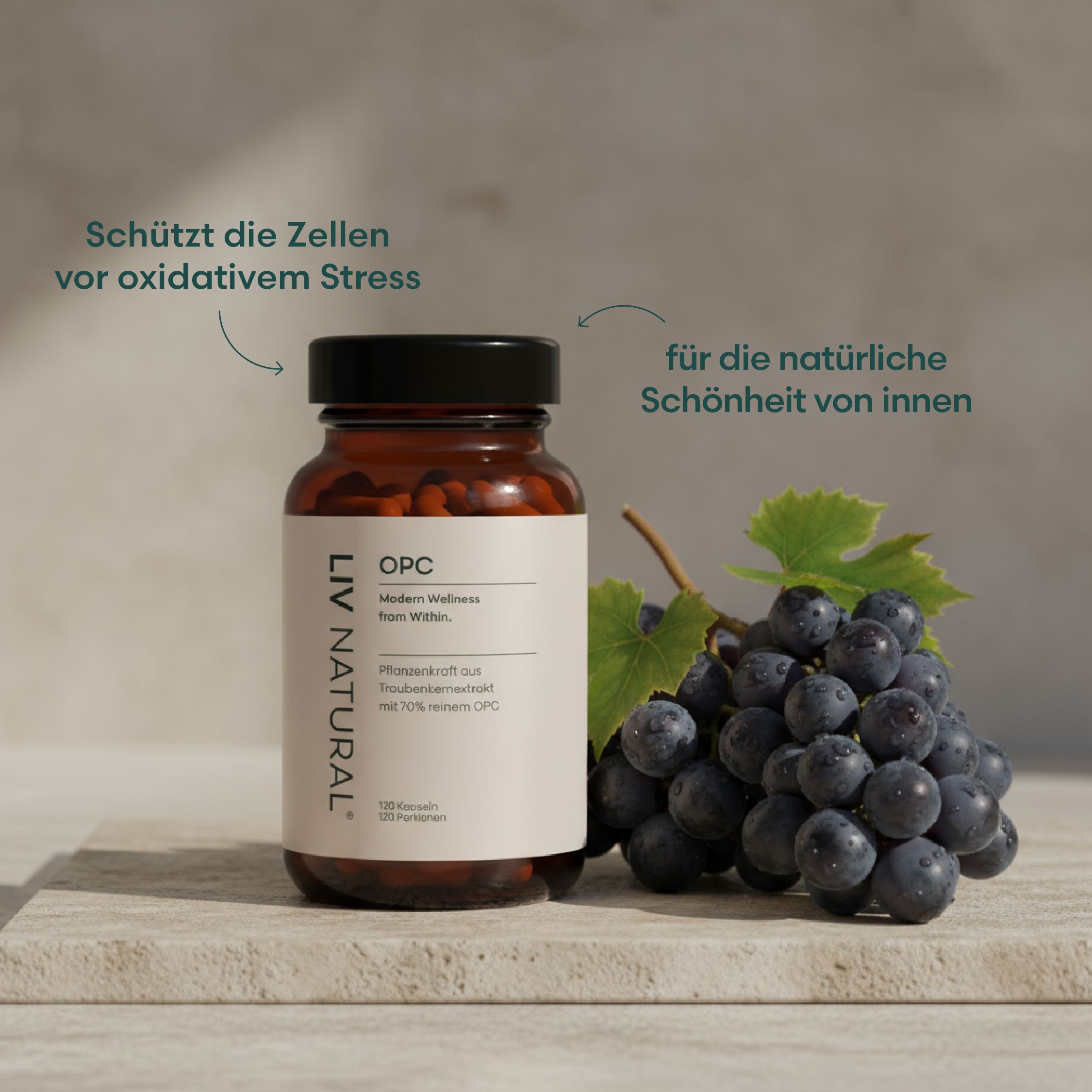 Braune Glasflasche mit schwarzem Deckel. Weißes Etikett mit Text: LIV NATURAL, OPC, 120 Kapseln. Daneben Trauben und Blätter. Text: Schützt die Zellen.