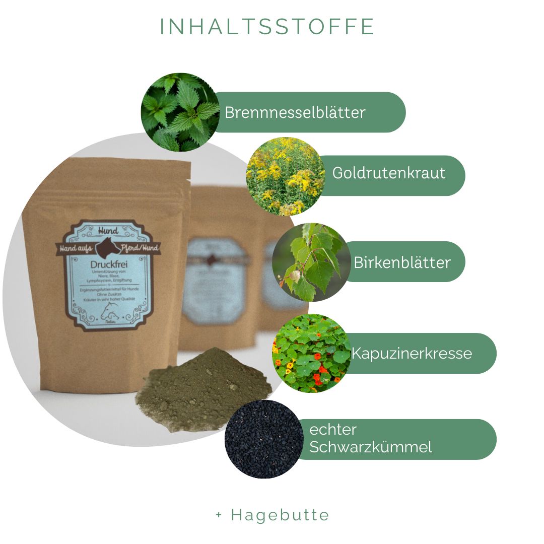 Braune Tüte mit blauem Etikett, Kräuterpulver daneben. Text: INHALTSSTOFFE. Abgebildet: Brennnesselblätter, Goldrutenkraut, Birkenblätter, Kapuzinerkresse, echter Schwarzkümmel.
