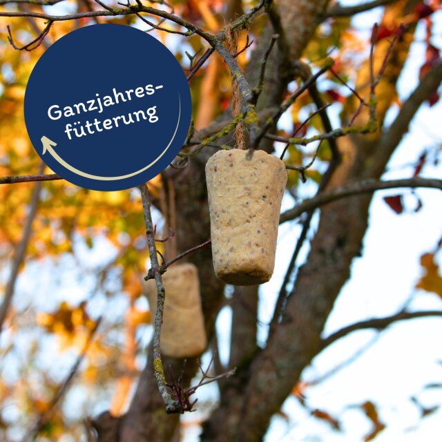 Zwei Fettriegel mit Erdnüssen hängen an einem Ast. Aufschrift 'Ganzjahresfütterung'.