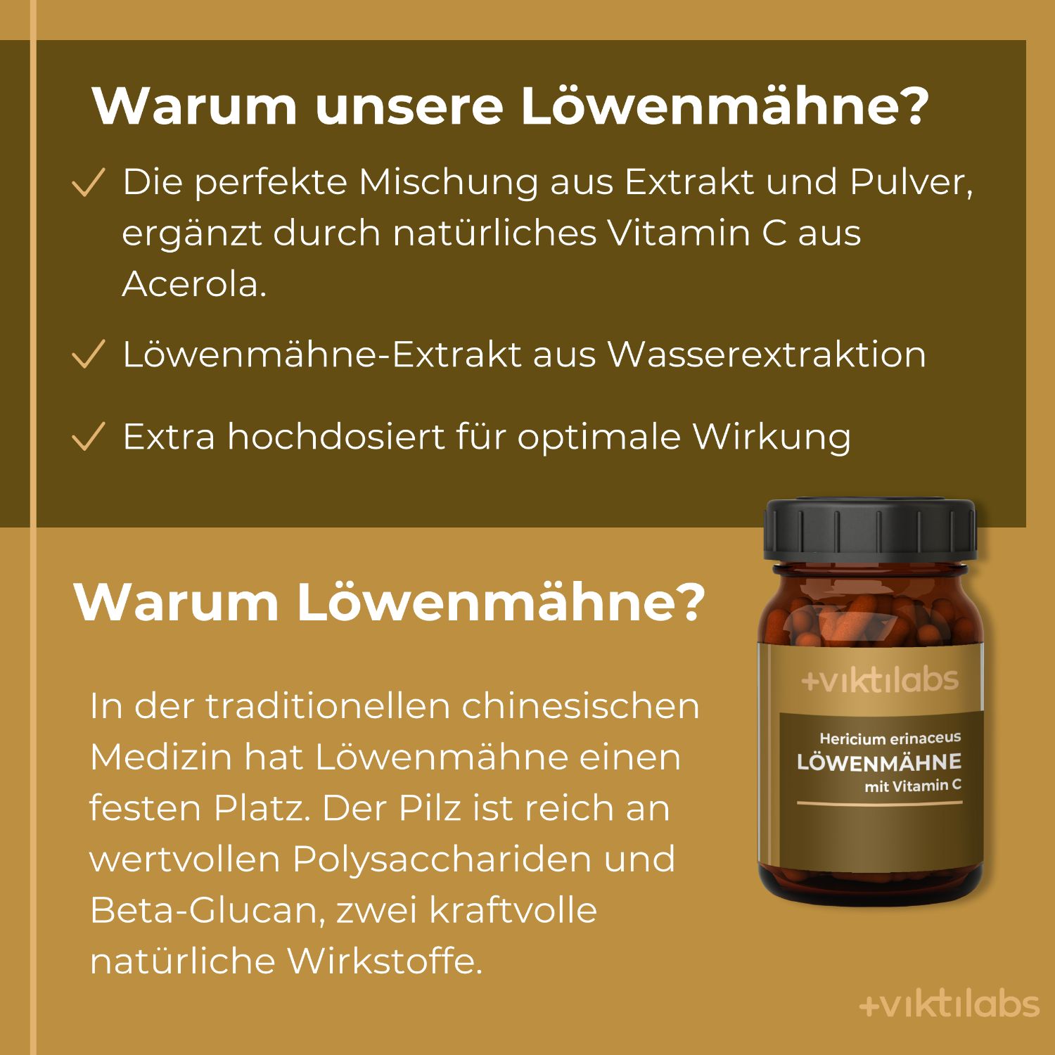Infografik mit Text über Löwenmähne und einer kleinen Flasche Viktilabs Löwenmähne.