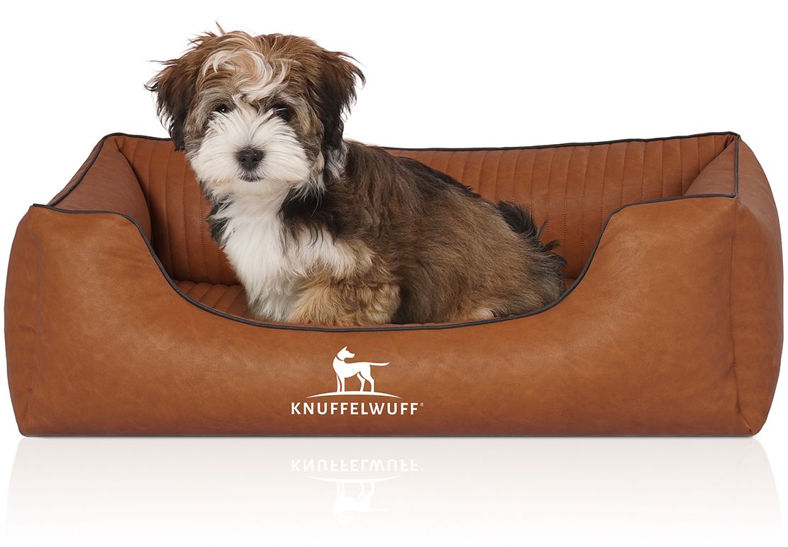 Hund sitzt in orthopädischem Hundebett Chesapeake, braun. Bett mit Logo, Lederoptik, erhöhten Seiten und gesteppter Fläche.
