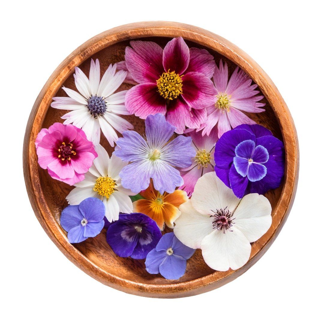 Holzschale mit bunten Blüten. Verschiedene Farben und Formen.