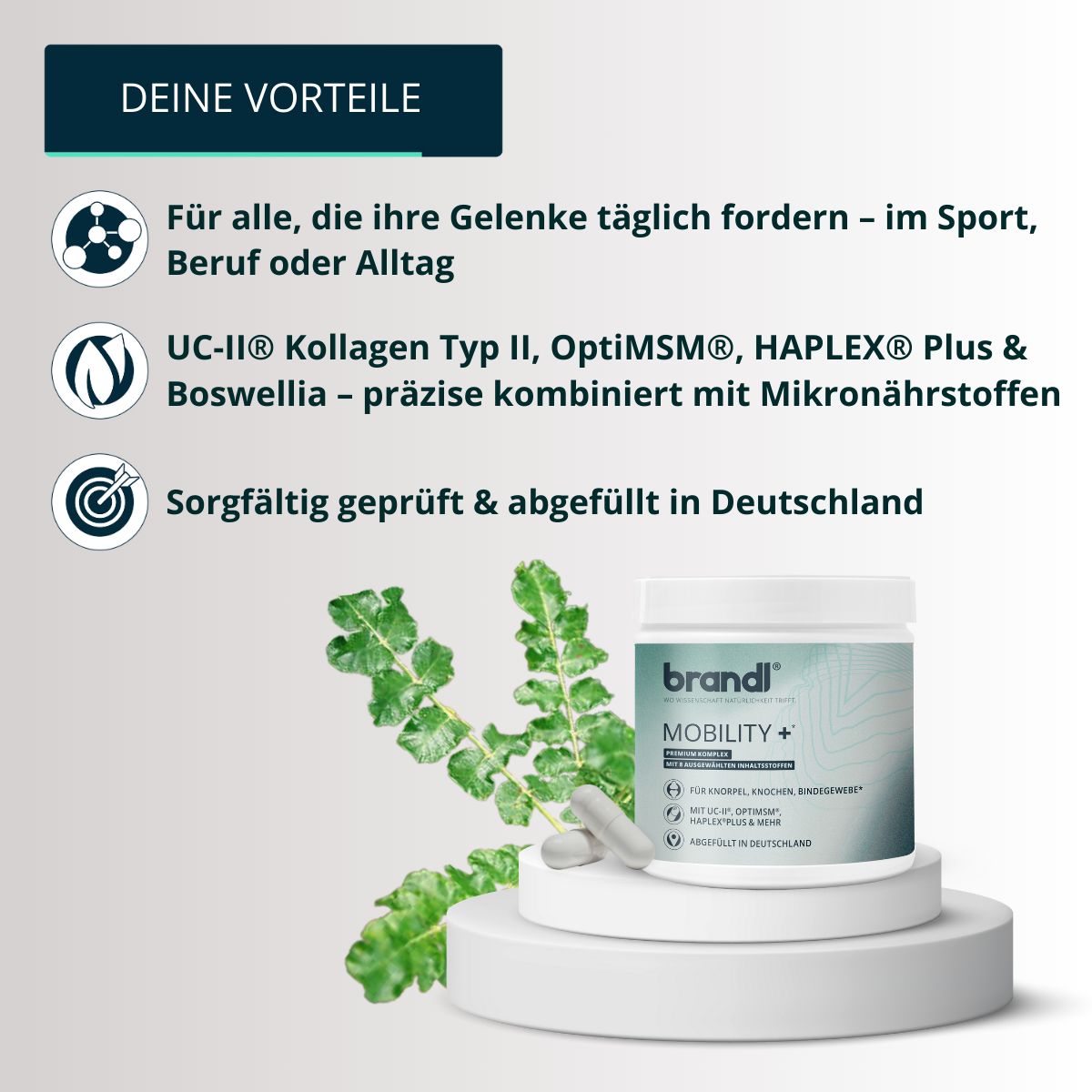 Behälter brandl® Mobility+ auf Podest. Text: Für alle, die ihre Gelenke täglich fordern. UC-II® Kollagen Typ II, OptiMSM, HAPLEX® Plus & Boswellia.