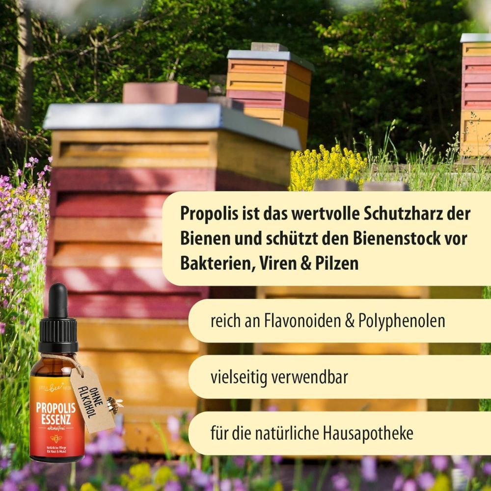 Braune Flasche mit Tropfer und Etikett. Text über Propolis und seine Eigenschaften. Bienenkörbe im Hintergrund.