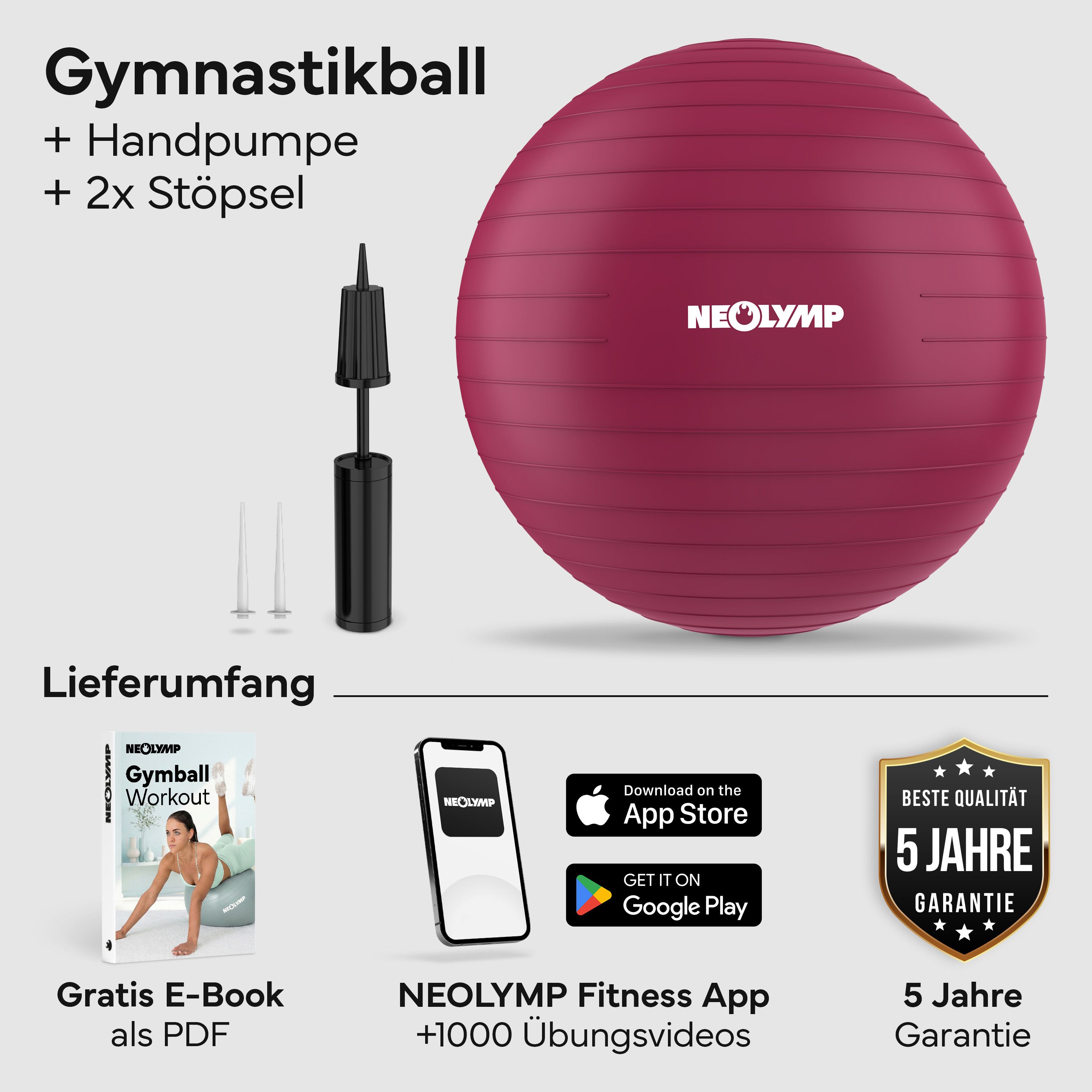 Gymnastikball-Set mit Pumpe, Stöpseln, E-Book und App-Hinweis.