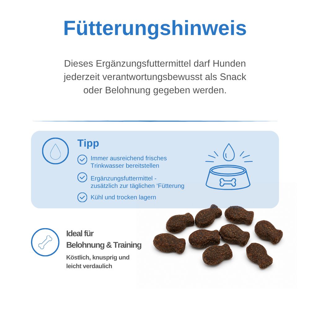 Fischförmige Hundesnacks, daneben Icons für Trinkwasser, Ergänzungsfutter, Kühlen und Trockenlagern, ideal für Belohnung & Training.