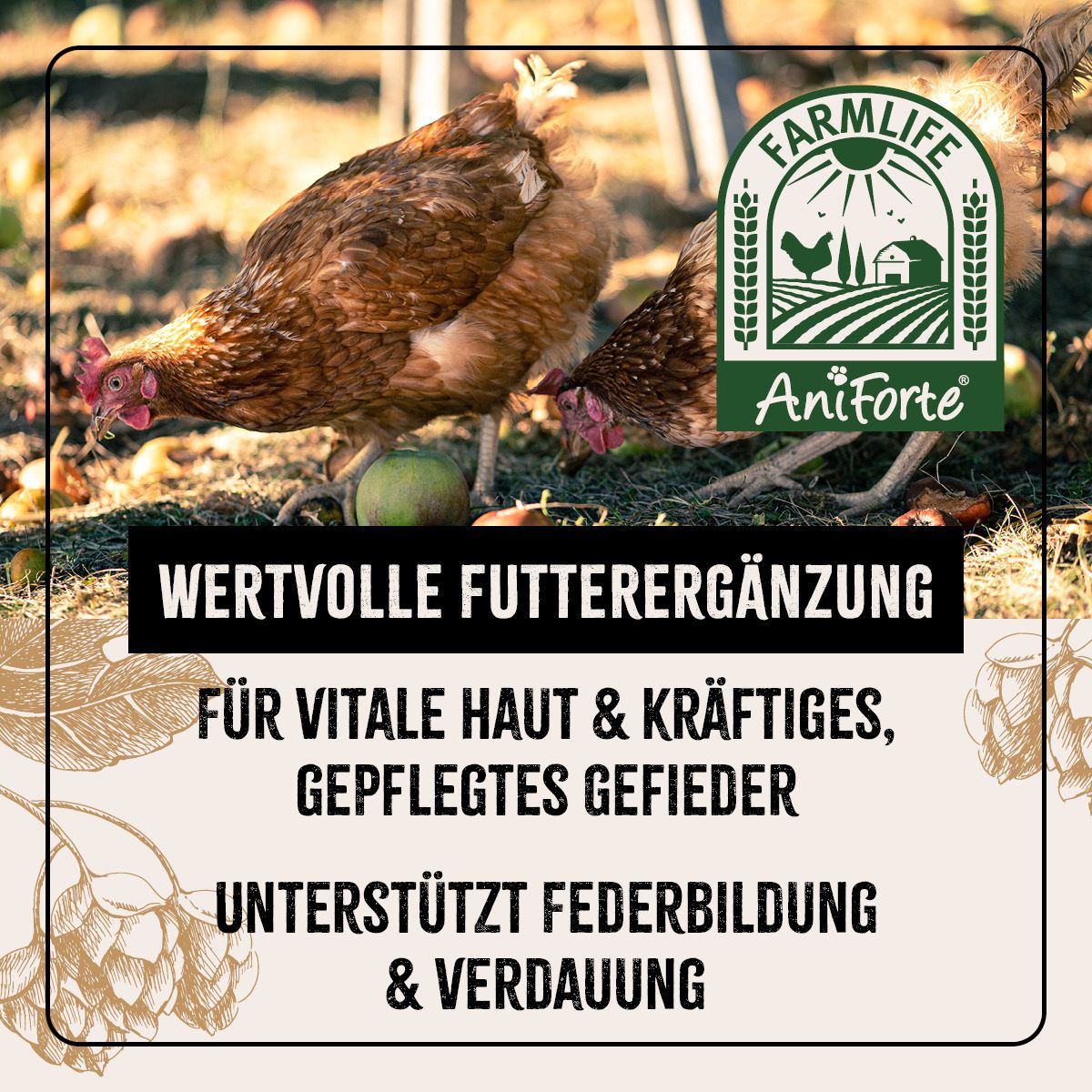 AniForte FarmLife Geflügel Bierhefe Spezial Mix