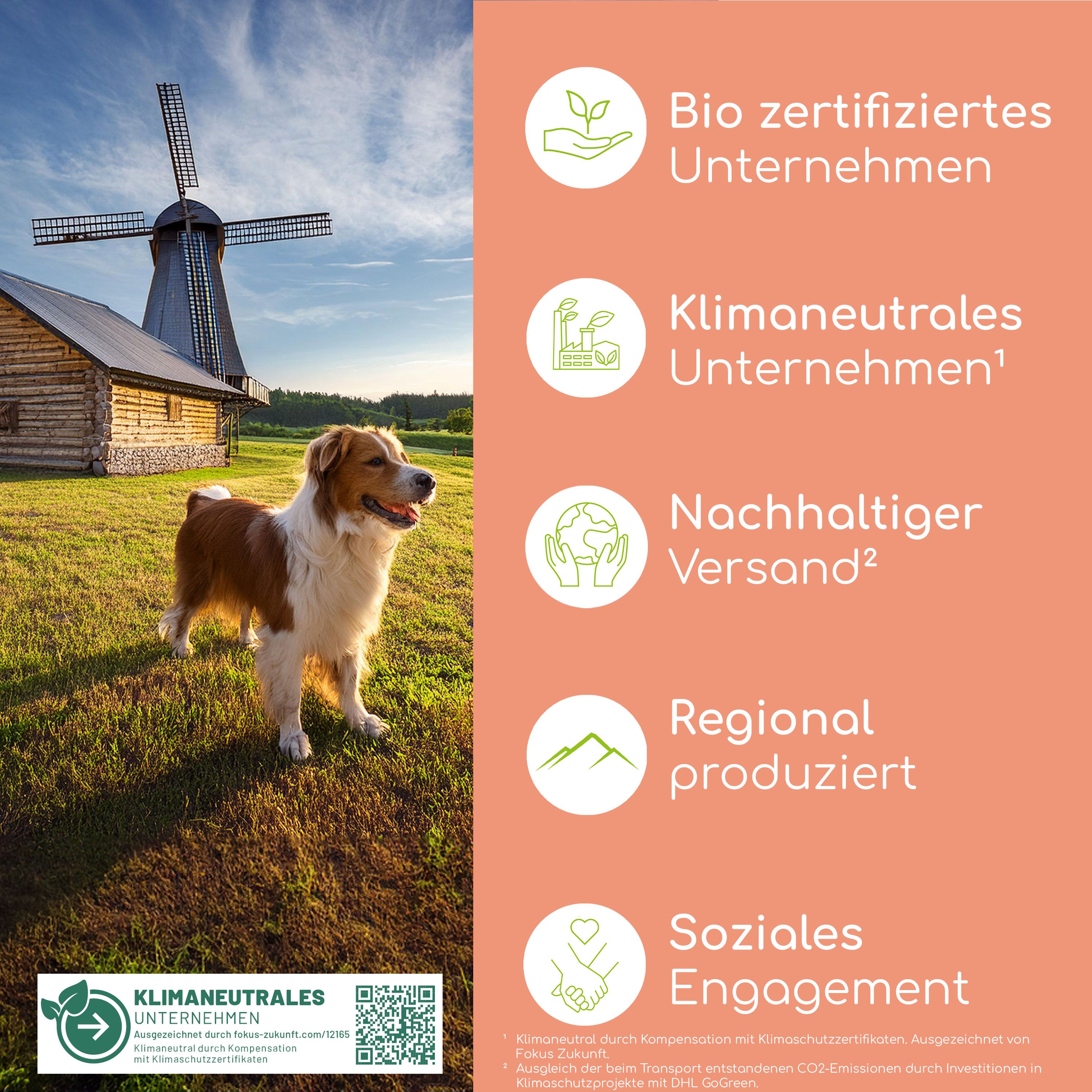 Hund vor Windmühle. Text: Bio-zertifiziert, klimaneutral, nachhaltiger Versand, regional produziert, soziales Engagement.