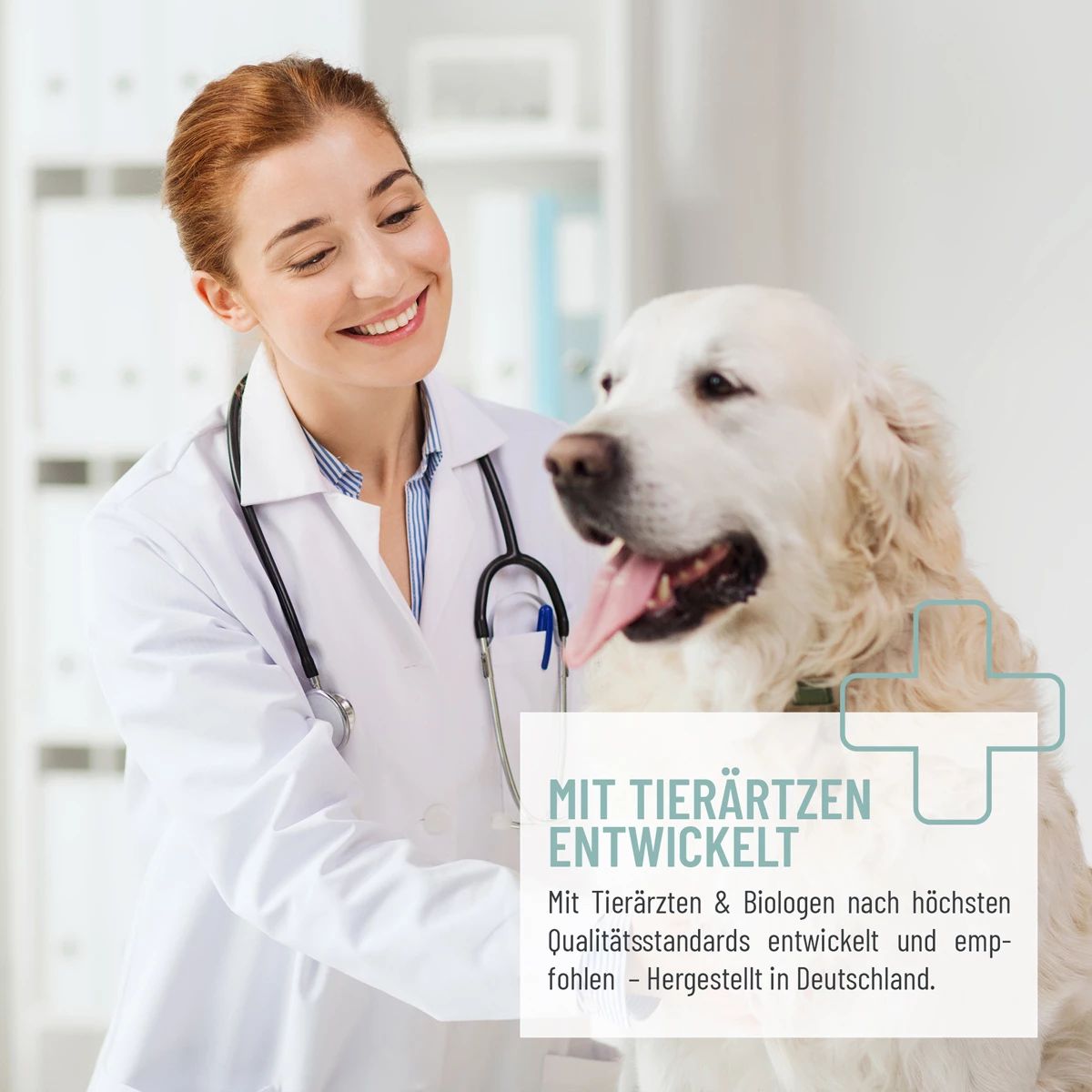 Augenpflege mit kolloidalem Silber - ReaVET
