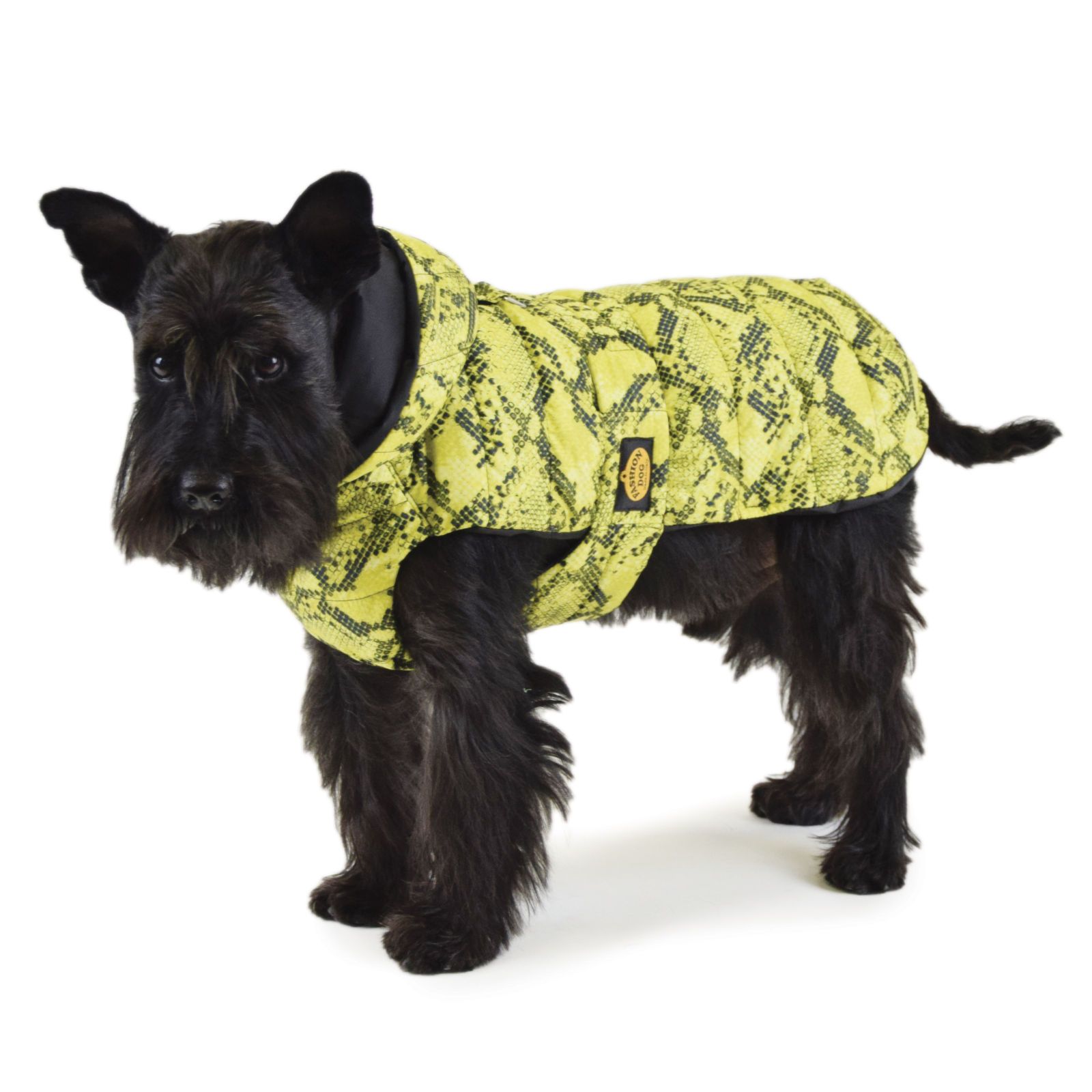 Gesteppter Regenmantel für Hunde, gelb mit Schlangenmuster, Kapuze, schwarzer Kragen, Logo-Patch.