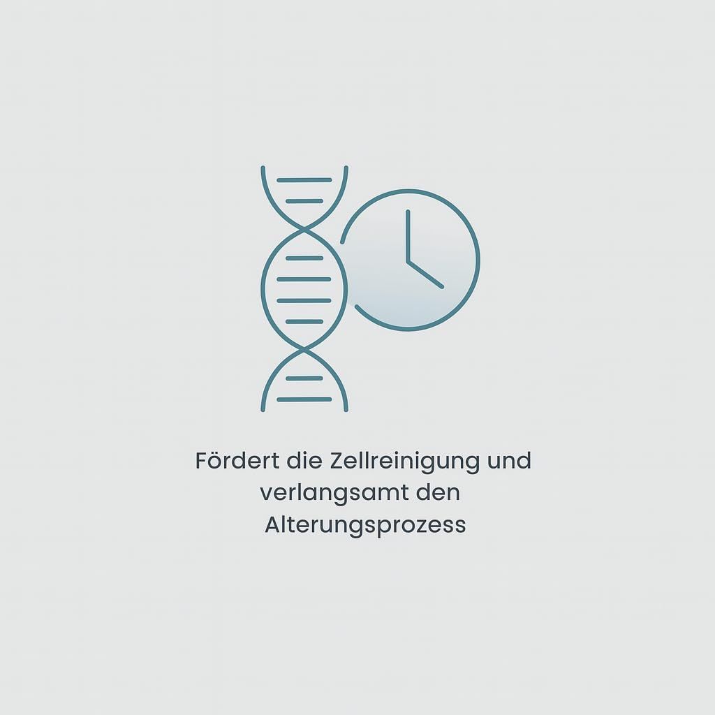 Minus Age Spermidine Zellregeneration Kapseln