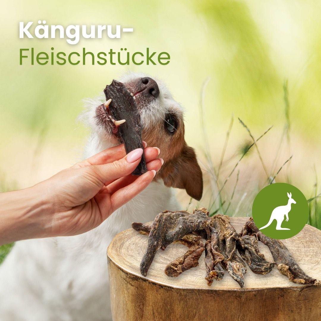 Getrocknete Känguru-Fleischstücke, braun und unregelmäßig geformt.