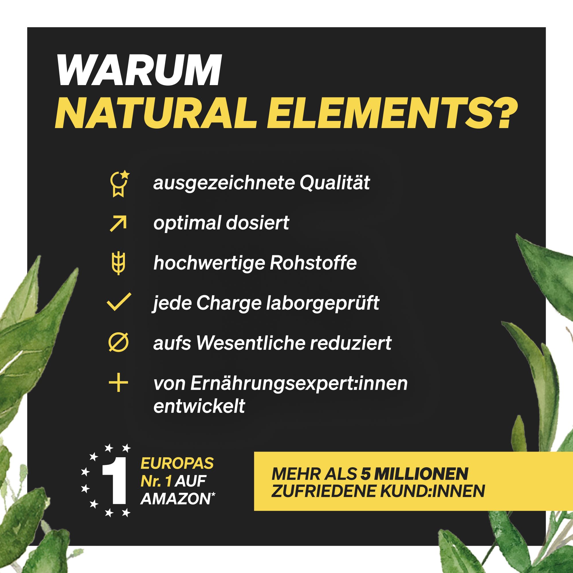 Text: Warum Natural Elements? Ausgezeichnete Qualität, optimal dosiert, hochwertige Rohstoffe, jede Charge laborgeprüft, aufs Wesentliche reduziert, von Ernährungsexpert:innen entwickelt. Europass Nr. 1 auf Amazon. Mehr als 5 Millionen zufriedene Kund:innen.